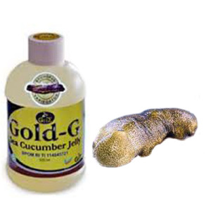 obat luka gangren Jelly-gamat-gold-sea-cucumber-300x285